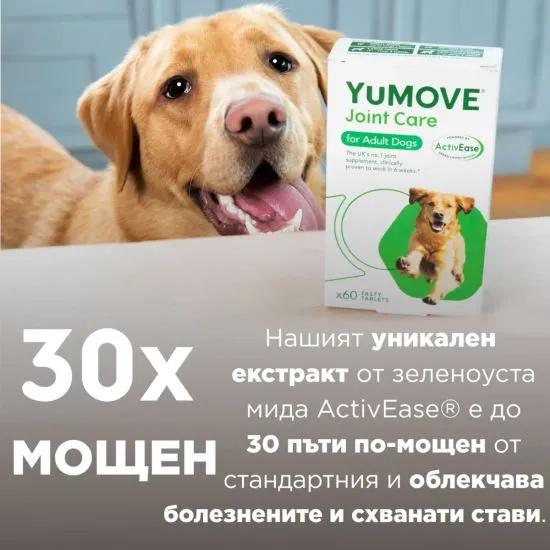 YuMOVE Dog - Image 3